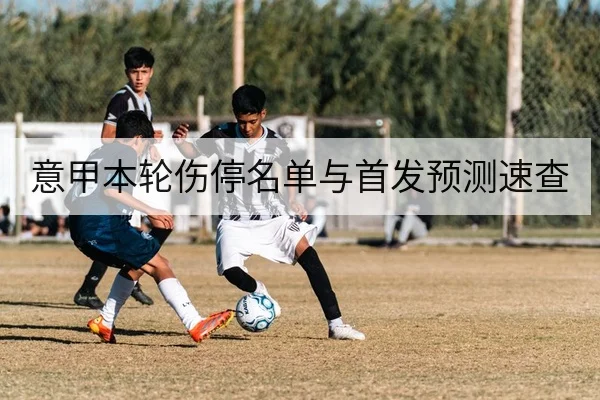意甲本轮伤停名单与首发预测速查